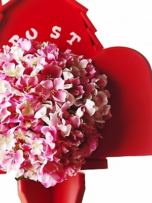 포토 JPG 스튜디오촬영 문자 기호 알파벳 영어 꽃 실내 근접촬영 사람없음 장식 빨간색 세로 장미 우체통 오브젝트 국내포토 식물 뷰포인트 컬러 내부 파일형식