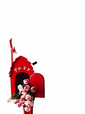 포토 JPG 스튜디오촬영 꽃 실내 누끼 사람없음 빨간색 세로 우체통 오브젝트 국내포토 식물 컬러 내부 파일형식