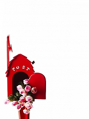 포토 JPG 스튜디오촬영 문자 기호 알파벳 영어 꽃 실내 누끼 사람없음 장식 빨간색 세로 장미 우체통 오브젝트 국내포토 식물 컬러 내부 파일형식