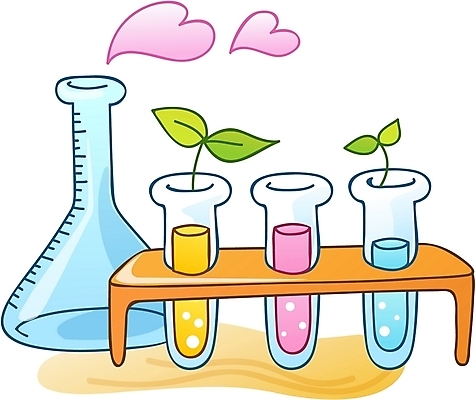 EPS 교육 과학 일러스트 수업 실험기구 실험 사람없음 새싹 하트 화학 플라스크 시험관 삼각플라스크 유리관 시험도구 국내일러스트 모양 식물 도구 파일형식 벡터