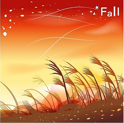 EPS 주간 식물 사계절 계절 백그라운드 일러스트 자연 하늘 바람 갈대 풍경 초원 사람없음 야외 노을 가을 풀 억새 가을배경 국내일러스트 자연요소 날씨 생태계 파일형식 벡터 가을_계절