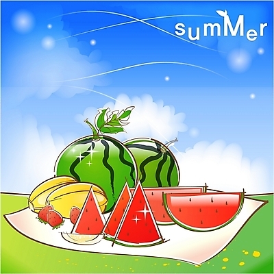 EPS 주간 식물 구름 사계절 계절 백그라운드 과일 일러스트 자연 하늘 딸기 수박 바나나 사람없음 야외 여름 소풍 돗자리 참외 대서 국내일러스트 자연요소 야외활동 절기 생태계 파일형식 벡터