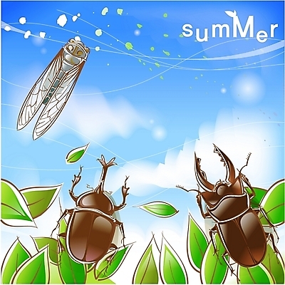 EPS 주간 구름 사계절 계절 곤충 백그라운드 절지류 일러스트 자연 하늘 나뭇잎 사람없음 야외 여름 벌레 딱정벌레 매미 국내일러스트 자연요소 동물 잎 생태계 파일형식 벡터