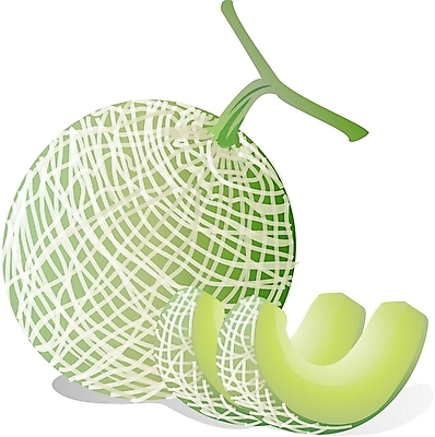 EPS 식물 과일 일러스트 사람없음 멜론 국내일러스트 파일형식 벡터