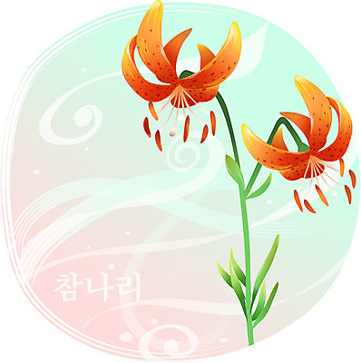 EPS 클립아트 식물 꽃 백그라운드 일러스트 여름꽃 자연 사람없음 빨간색 들꽃 참나리 국내일러스트 컬러 생태계 파일형식 벡터 여름_계절