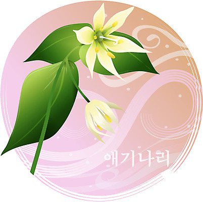 EPS 클립아트 식물 꽃 백그라운드 일러스트 봄꽃 자연 사람없음 노란색 들꽃 애기나리 국내일러스트 컬러 봄 생태계 파일형식 벡터