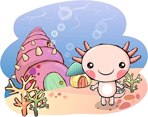 EPS 동물 척추동물 캐릭터 한마리 동물캐릭터 일러스트 홍보캐릭터 조개 주택 애니멀프린트 양서류 사람없음 건물 수중 소라 수족관 어류캐릭터 우파루파 일러캐릭터 1 건축물 어패류 어류 수중동물 파일형식 벡터