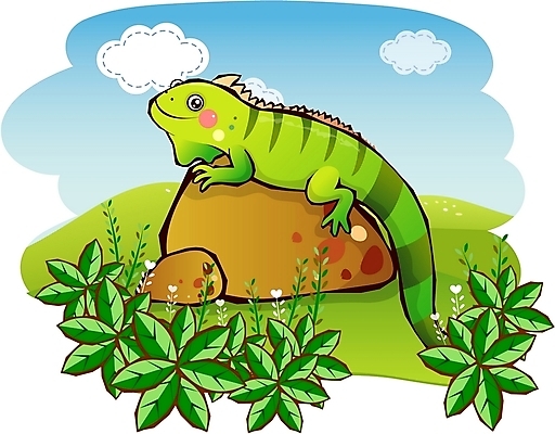 EPS 주간 동물 구름 척추동물 캐릭터 한마리 꽃 동물캐릭터 일러스트 홍보캐릭터 파충류 하늘 애니멀프린트 초원 사람없음 야외 돌_바위 조약돌 풀 이구아나 일러캐릭터 자연요소 식물 1 파일형식 벡터