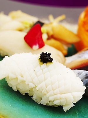 포토 JPG 스튜디오촬영 음식 실내 근접촬영 사람없음 세로 초밥 오징어 오징어초밥 줄무늬오징어 일본음식 국내포토 뷰포인트 연체동물 내부 수중동물 파일형식