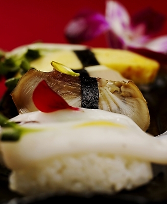 포토 JPG 스튜디오촬영 음식 실내 근접촬영 사람없음 장식 세로 초밥 계란말이 피조개 일본음식 국내포토 뷰포인트 조개 내부 계란요리 파일형식