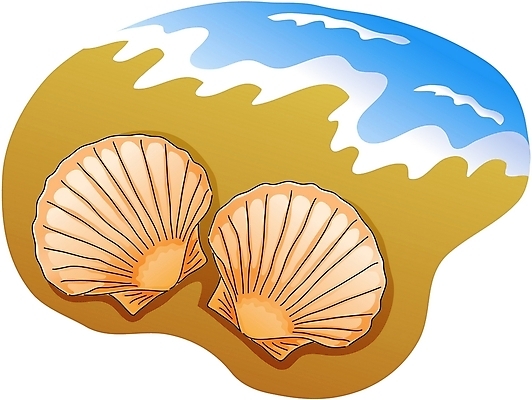 EPS 클립아트 동물 한마리 야생동물 모래 일러스트 연체동물 해변 사람없음 가리비 국내일러스트 1 바다 조개 무척추동물 파일형식 벡터