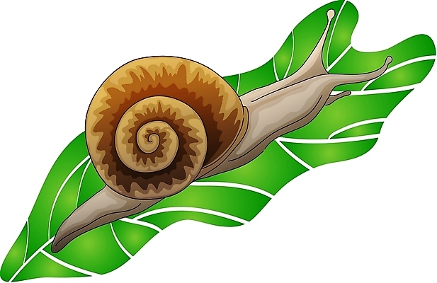 EPS 클립아트 동물 한마리 야생동물 잎 일러스트 연체동물 사람없음 달팽이 국내일러스트 식물 1 무척추동물 파일형식 벡터