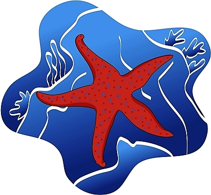 EPS 클립아트 동물 한마리 야생동물 일러스트 불가사리 극피동물 사람없음 바닷속 국내일러스트 1 수중 파일형식 벡터