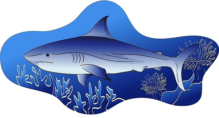 EPS 클립아트 동물 척추동물 한마리 야생동물 일러스트 어류 사람없음 바닷속 상어 국내일러스트 1 수중 수중동물 파일형식 벡터