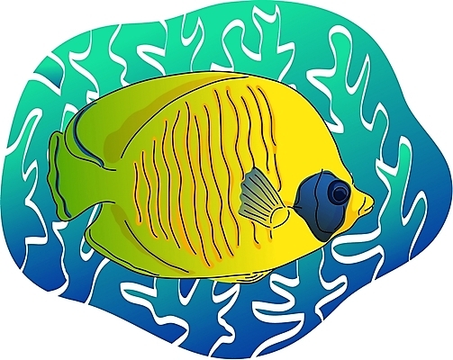 EPS 클립아트 동물 척추동물 한마리 야생동물 일러스트 어류 사람없음 바닷속 열대어 나비고기 국내일러스트 1 수중 수중동물 파일형식 벡터