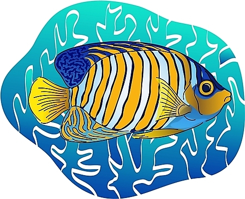 EPS 클립아트 동물 척추동물 한마리 야생동물 일러스트 어류 사람없음 바닷속 열대어 엔젤피쉬 국내일러스트 1 수중 수중동물 파일형식 벡터