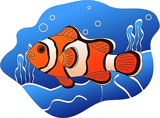 EPS 클립아트 동물 척추동물 한마리 야생동물 일러스트 어류 사람없음 바닷속 열대어 흰동가리 국내일러스트 1 수중 수중동물 파일형식 벡터