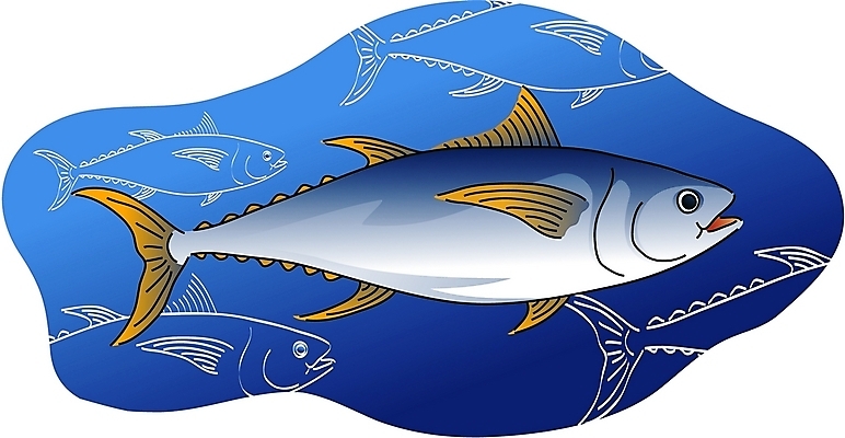 EPS 클립아트 동물 척추동물 한마리 야생동물 일러스트 어류 사람없음 바닷속 참치 국내일러스트 1 수중 수중동물 파일형식 벡터