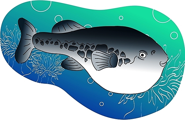 EPS 클립아트 동물 척추동물 한마리 야생동물 일러스트 어류 사람없음 바닷속 복어 국내일러스트 1 수중 수중동물 파일형식 벡터