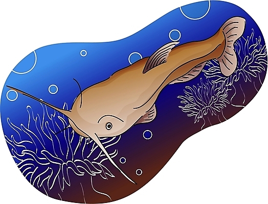 EPS 클립아트 동물 척추동물 한마리 야생동물 일러스트 어류 사람없음 강 민물고기 메기 국내일러스트 1 수중동물 파일형식 벡터