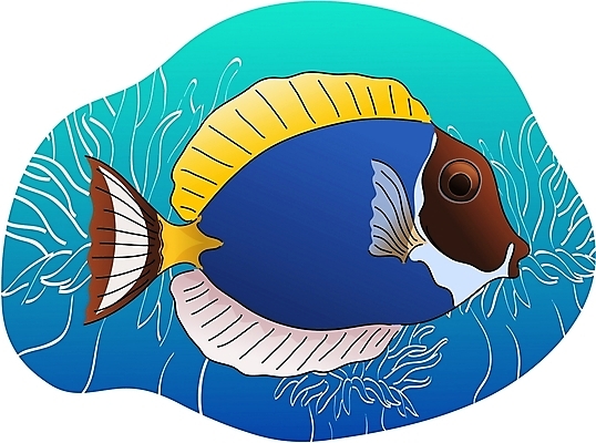 EPS 클립아트 동물 척추동물 한마리 야생동물 일러스트 어류 사람없음 바닷속 열대어 국내일러스트 1 수중 수중동물 파일형식 벡터