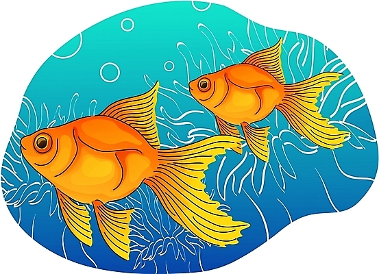 EPS 클립아트 동물 척추동물 한마리 야생동물 일러스트 어류 사람없음 어항 금붕어 국내일러스트 1 수중동물 파일형식 벡터