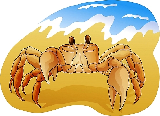 EPS 클립아트 동물 한마리 야생동물 모래 절지류 일러스트 갑각류 어류 해변 사람없음 게 국내일러스트 1 바다 수중동물 파일형식 벡터