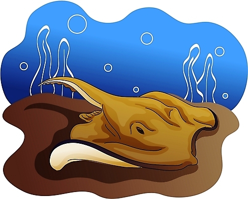 EPS 클립아트 동물 척추동물 한마리 야생동물 일러스트 어류 사람없음 바닷속 가오리 국내일러스트 1 수중 수중동물 파일형식 벡터