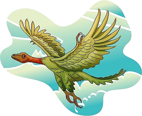 EPS 클립아트 동물 척추동물 한마리 야생동물 일러스트 파충류 사람없음 공룡 시조새 국내일러스트 1 파일형식 벡터