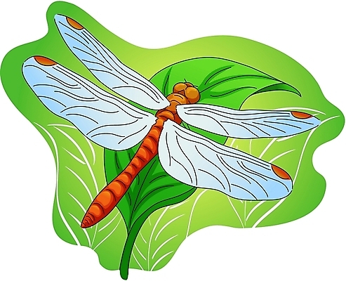 EPS 클립아트 동물 한마리 곤충 절지류 일러스트 사람없음 잠자리 국내일러스트 1 파일형식 벡터