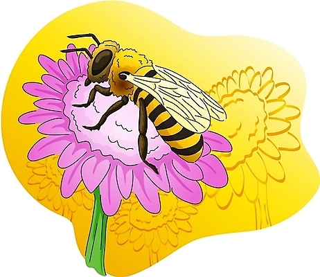 EPS 클립아트 동물 한마리 꽃 곤충 절지류 일러스트 사람없음 벌 국내일러스트 식물 1 파일형식 벡터