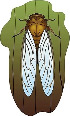 EPS 클립아트 나무 동물 한마리 곤충 절지류 일러스트 사람없음 매미 국내일러스트 식물 1 파일형식 벡터