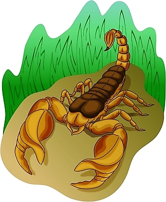 EPS 클립아트 동물 한마리 야생동물 곤충 절지류 일러스트 사람없음 전갈 국내일러스트 1 파일형식 벡터