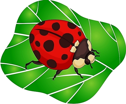 EPS 클립아트 동물 한마리 곤충 잎 절지류 일러스트 사람없음 무당벌레 국내일러스트 식물 1 파일형식 벡터