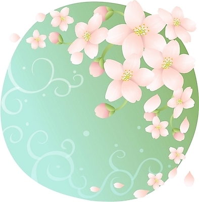 EPS 클립아트 식물 꽃 분홍색 백그라운드 일러스트 봄꽃 자연 사람없음 벚꽃 국내일러스트 컬러 봄 생태계 파일형식 벡터