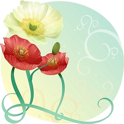 EPS 클립아트 식물 꽃 백그라운드 일러스트 여름꽃 자연 사람없음 빨간색 컬러풀 양귀비 국내일러스트 컬러 생태계 파일형식 벡터 여름_계절