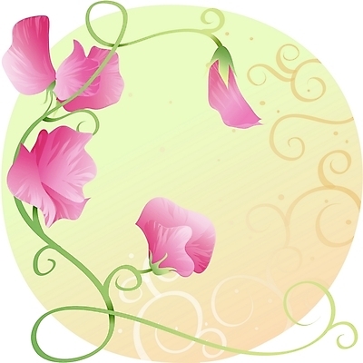 EPS 클립아트 식물 꽃 백그라운드 일러스트 자연 사람없음 호접란 진홍색 국내일러스트 빨간색 생태계 파일형식 벡터