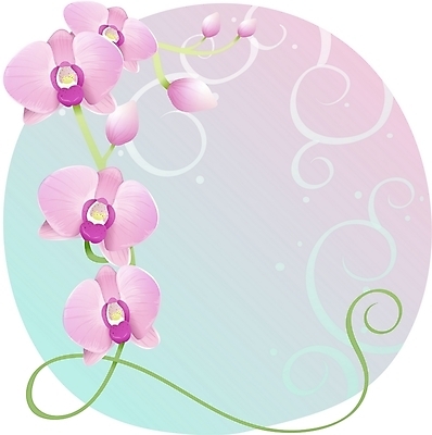 EPS 클립아트 식물 꽃 줄기 분홍색 백그라운드 일러스트 자연 사람없음 난초 국내일러스트 컬러 생태계 파일형식 벡터