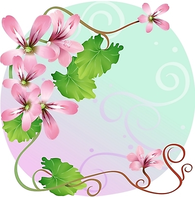 EPS 클립아트 식물 꽃 줄기 분홍색 백그라운드 잎 일러스트 여름꽃 자연 사람없음 제라늄 국내일러스트 컬러 생태계 파일형식 벡터 여름_계절