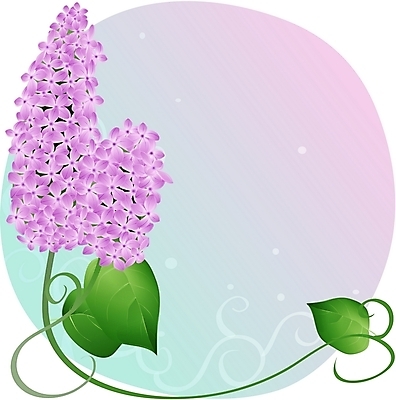 EPS 클립아트 식물 꽃 줄기 컬러 백그라운드 잎 일러스트 봄꽃 자연 사람없음 보라색 라일락 국내일러스트 봄 생태계 파일형식 벡터