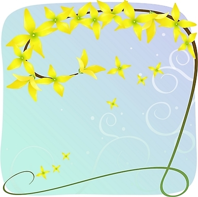 EPS 클립아트 식물 꽃 줄기 컬러 백그라운드 일러스트 봄꽃 자연 사람없음 노란색 개나리 국내일러스트 봄 생태계 파일형식 벡터