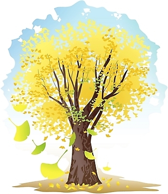 EPS 주간 클립아트 나무 식물 일러스트 한그루 사람없음 야외 은행잎 은행나무 국내일러스트 자연요소 1 잎 파일형식 벡터