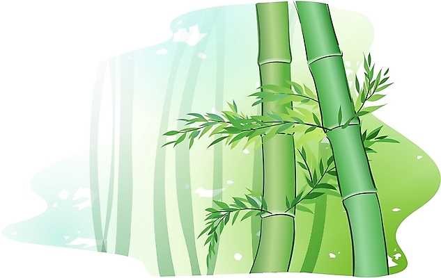 EPS 클립아트 나무 식물 일러스트 사람없음 대나무 국내일러스트 파일형식 벡터