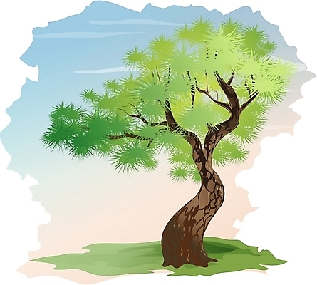 EPS 클립아트 나무 식물 일러스트 한그루 사람없음 야외 소나무 국내일러스트 1 파일형식 벡터