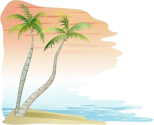 EPS 클립아트 나무 식물 섬 일러스트 해변 사람없음 야외 야자수 국내일러스트 바다 파일형식 벡터