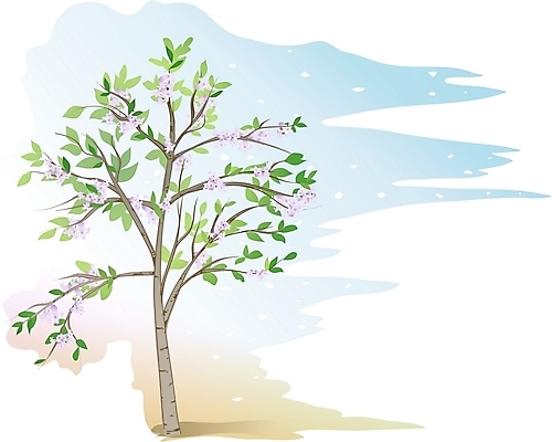 EPS 주간 클립아트 나무 식물 일러스트 한그루 사람없음 야외 오동나무 국내일러스트 자연요소 1 파일형식 벡터