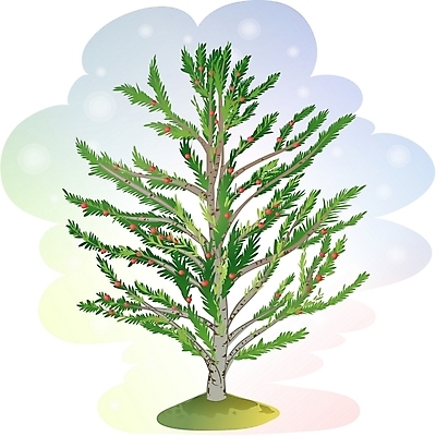 EPS 클립아트 나무 식물 일러스트 한그루 사람없음 주목 국내일러스트 1 파일형식 벡터