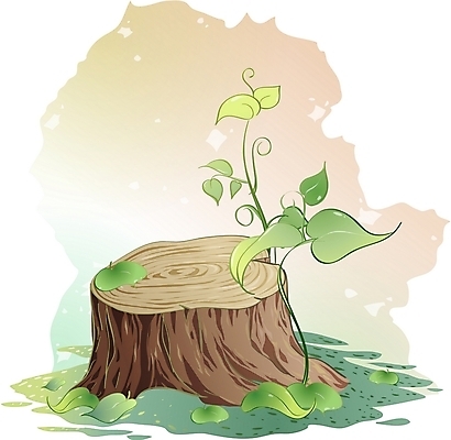 EPS 클립아트 나무 식물 일러스트 한그루 사람없음 나이테 나무밑둥 국내일러스트 1 파일형식 벡터