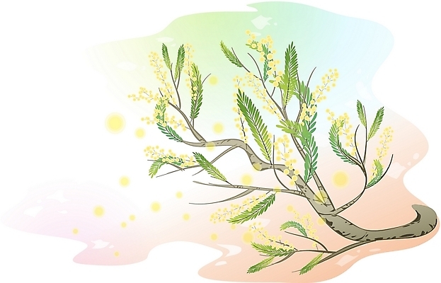 EPS 클립아트 나무 식물 일러스트 사람없음 미모사 국내일러스트 파일형식 벡터