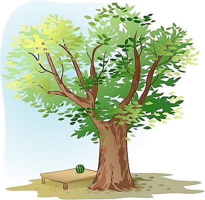 EPS 주간 클립아트 나무 식물 일러스트 휴식 수박 한그루 사람없음 야외 그늘 느티나무 국내일러스트 자연요소 1 컨셉 과일 파일형식 벡터